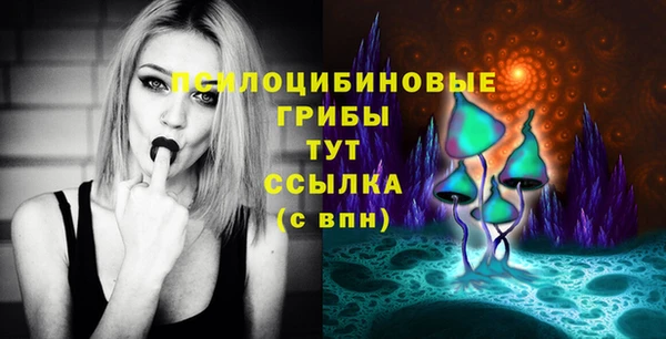 молекула духа Валуйки